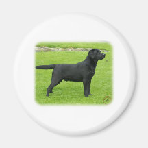 Labrador Retriever 9T099D-006 Magneter