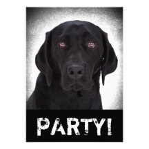 Labrador Retriever Individuella Inbjudningskort