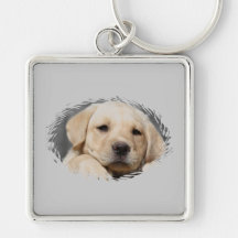 Labrador valp, nyckel ring