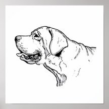 LABRADOREN PRINT