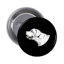 LABRADOREN KNAPP MED NÅL