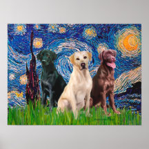 Labradors (3) - Starry natt Posters