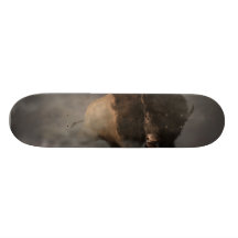 Laddande Bison Skate Board Decks