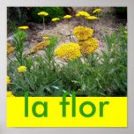 laflor affisch 2
