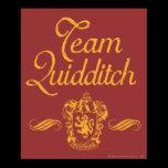 Lag Quidditch affischer