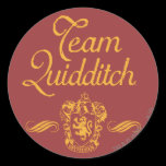 Lag Quidditch klistermärken