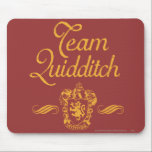Lag Quidditch musmattor