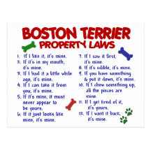 Lagar 2 för Boston Terrieregendom Vykort
