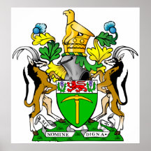 Laget beväpnar afrika för Rhodesia officiell heral Affisch