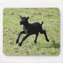 Lamb från Gotland fårmousepad Mus Matta