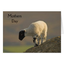 Lamb på ett bergstoppmors dagkort