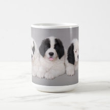 Landseer valp kaffe mugg
