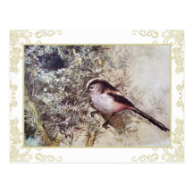 Lång-tailed Tit Vykort
