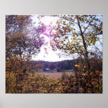 Lantgård Affisch