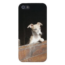 Lantligt iPhone 5 Fodraler