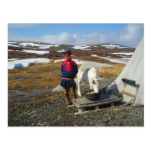 Lapland,  Sámi settlement with tent and cow Postcards