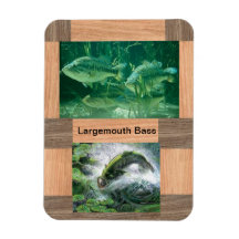 largemouth bas- kylskåpmagnet