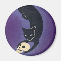 Larmet av katten magneter