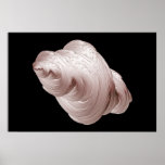 Larve Posters