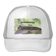 Lat ekorrefoto baseball hat