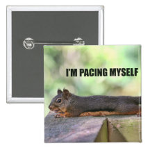 Lat ekorrefoto pins