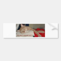 LAT KATT 2 BILDEKAL