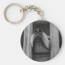 Låt mig ut! nyckel ring
