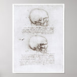 Lateralen beskådar av skallen, Leonardo Da Vinci Affischer