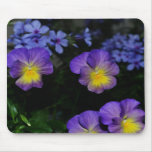 Lavendel- och gultPansies Mousepad Mus Matta