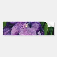 LavendelSunray, blommor för X Gordon Dillon (Vanda Bildekaler