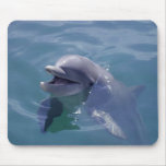 Le delfinen musmattor