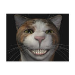 Le katten vykort