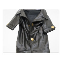 LeatherCoat072509 Personliga Tillkännagivanden