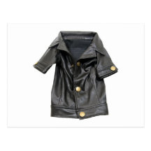 LeatherCoat072509 Vykort