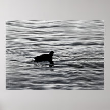 ledsen anka posters