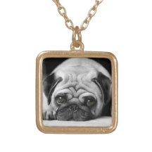 Ledsen mops halsband