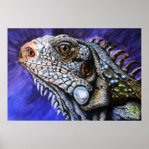 leguan print