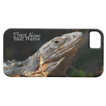 Leguan i solen; Anpassade iPhone 5 Fodraler