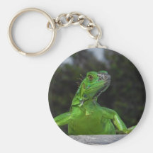 Leguan i solljus nyckel ring