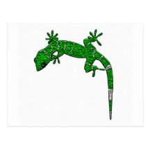 leguan vykort