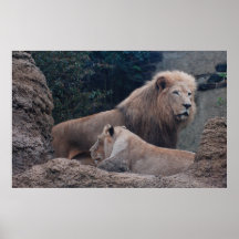 LEJON MOR POSTERS