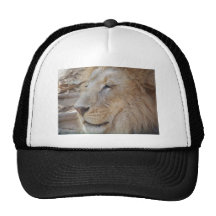 Lejont Baseball Hat