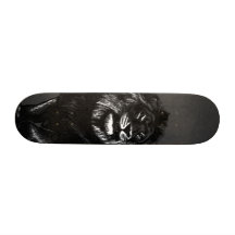lejont stiga ombord skate deck