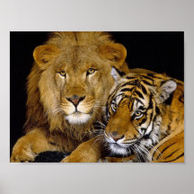 Lejont & tiger posters