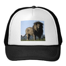 Lejont Trucker Kepsar