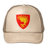 Leka norge trucker kepsar