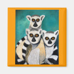 lemurs magneter för kylskåp