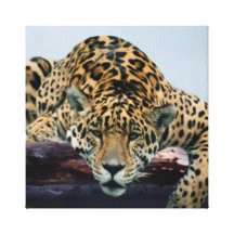 Leopard Canvastryck