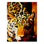 Leopard Gotcha Vykort