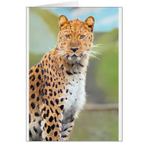 LEOPARD HÄLSNINGSKORT